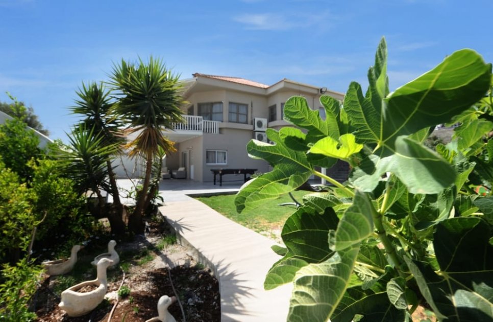 estate merlot_vila_225_358966_1Whprru.jpg